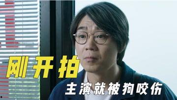 吐槽娱乐吃瓜君